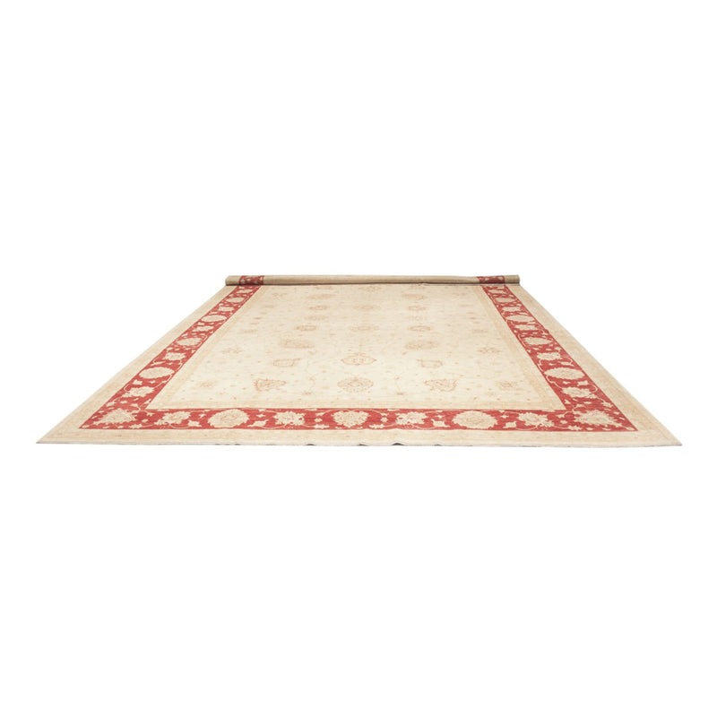 Ziegler Rug - 584 x 394 cm - beige