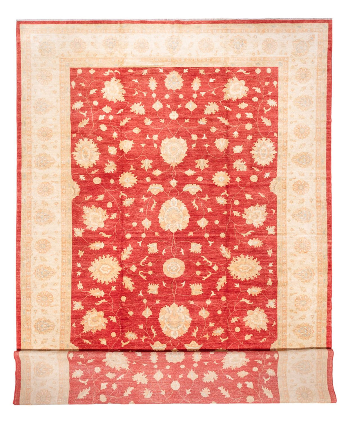 Ziegler Rug - 686 x 402 cm - red