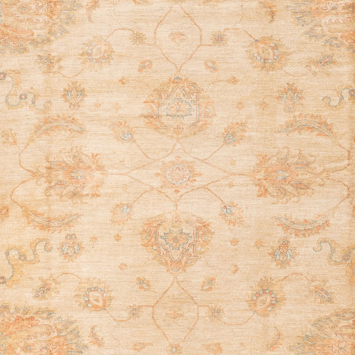 Ziegler Rug - 585 x 396 cm - beige