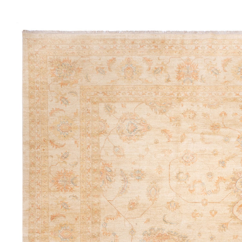 Ziegler Rug - 585 x 396 cm - beige