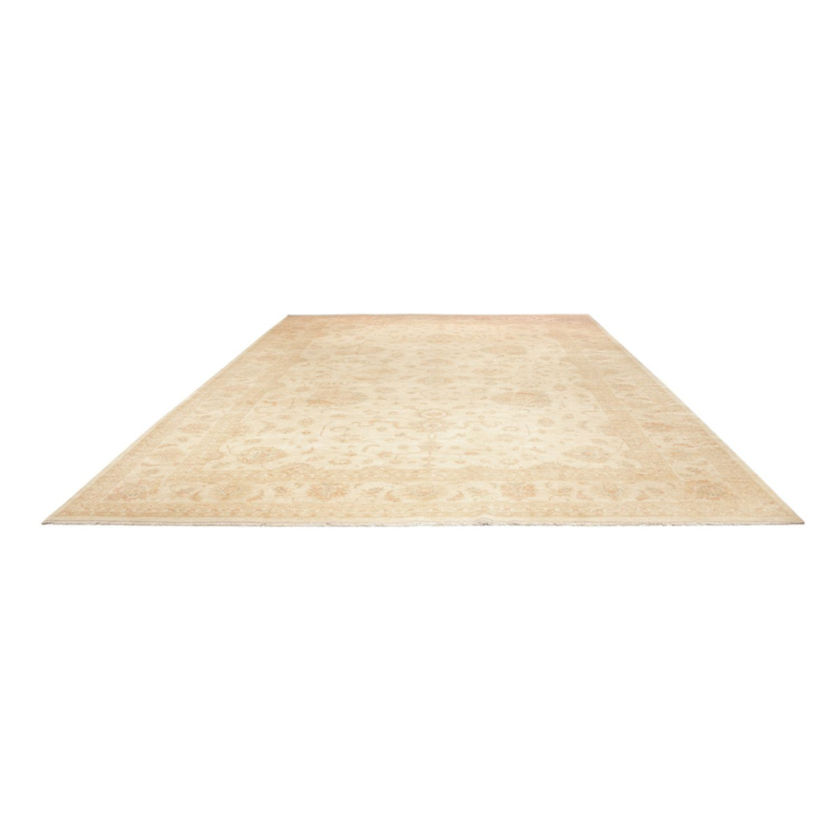 Ziegler Rug - 585 x 396 cm - beige
