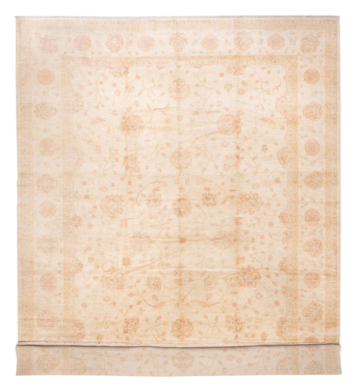 Ziegler Rug - 592 x 403 cm - beige