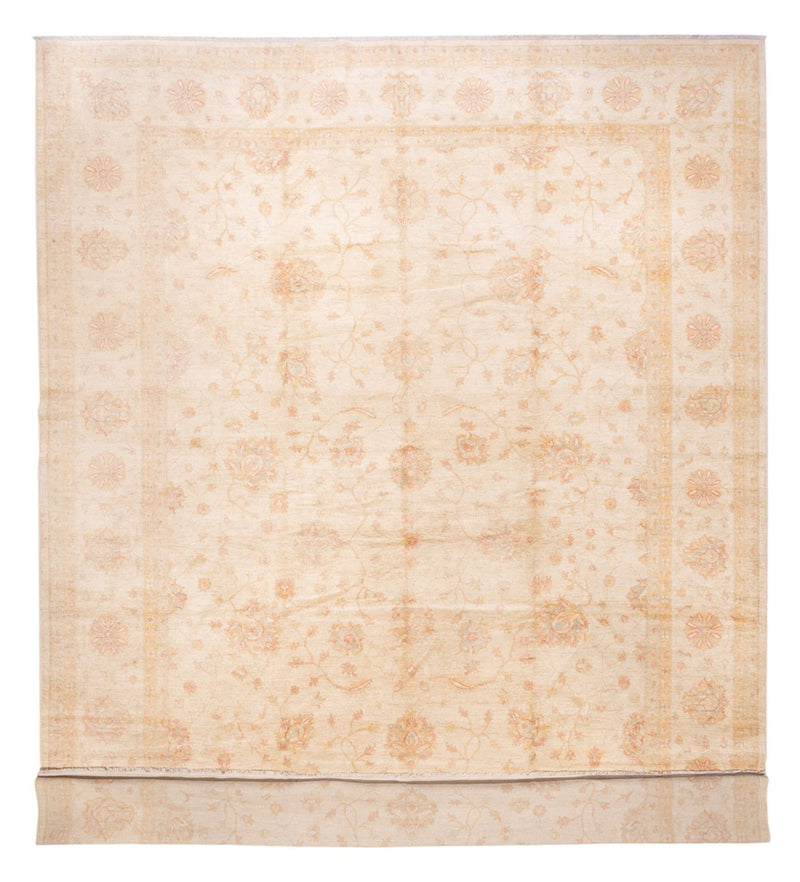 Ziegler Rug - 592 x 403 cm - beige