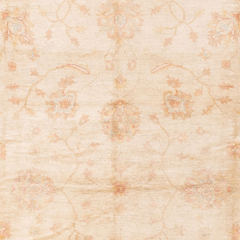Ziegler Rug - 592 x 403 cm - beige