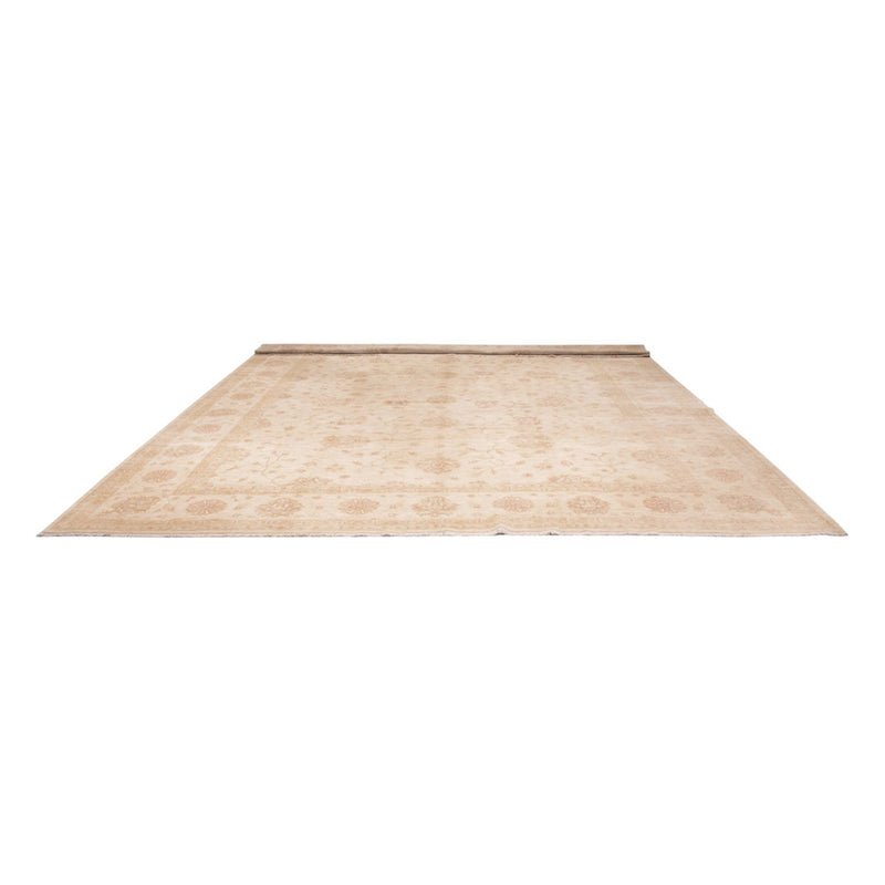 Ziegler Rug - 592 x 403 cm - beige
