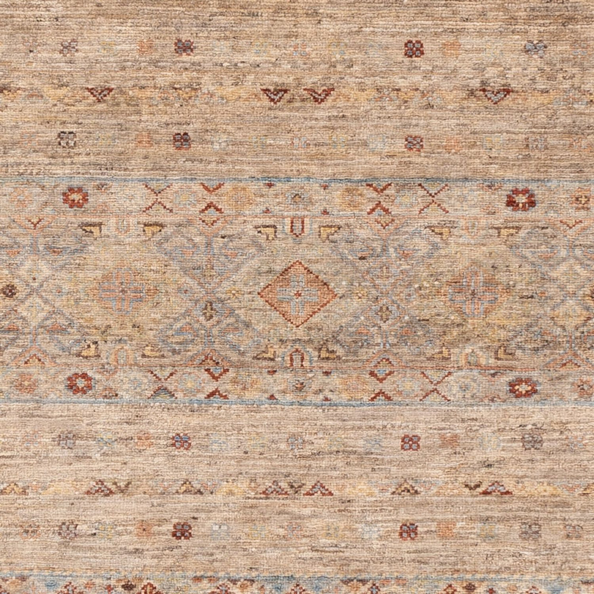 Ziegler Rug - Ariana - 204 x 154 cm - beige