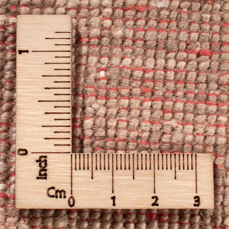 Ziegler Rug - Ariana - 243 x 172 cm - beige