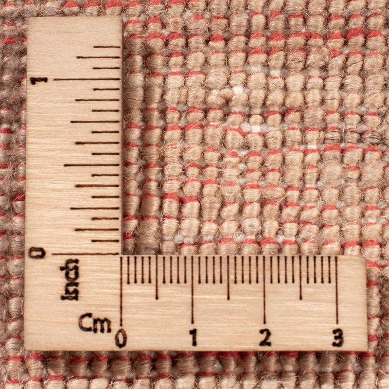 Ziegler Rug - Ariana - 240 x 176 cm - beige