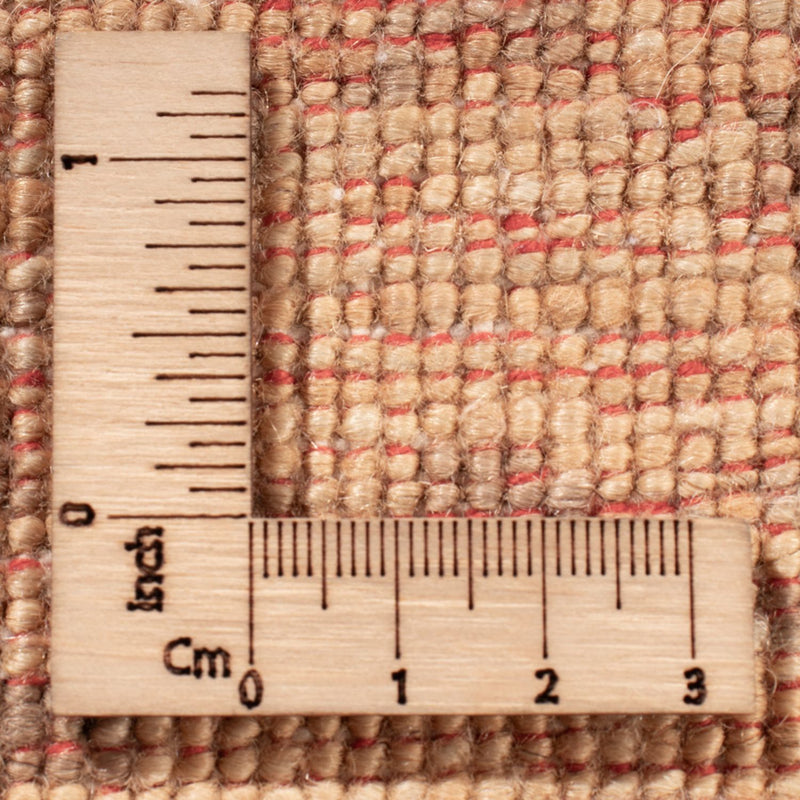 Ziegler Rug - Ariana - 244 x 177 cm - beige