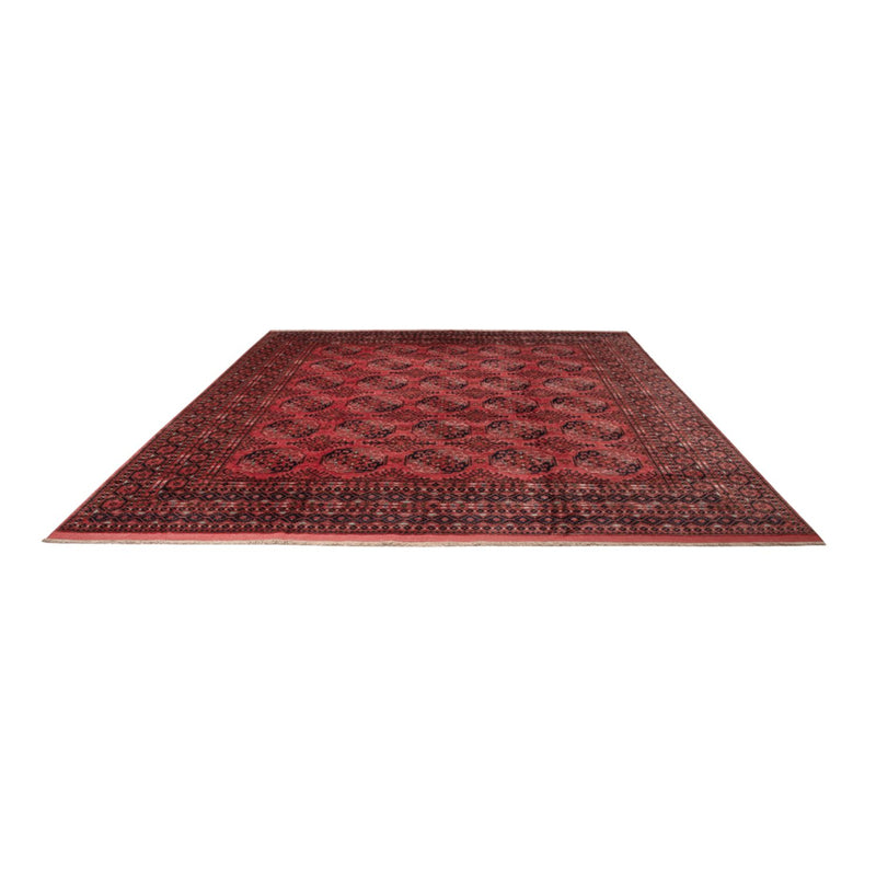 Afghan Rug - Bukhara - 404 x 351 cm - red