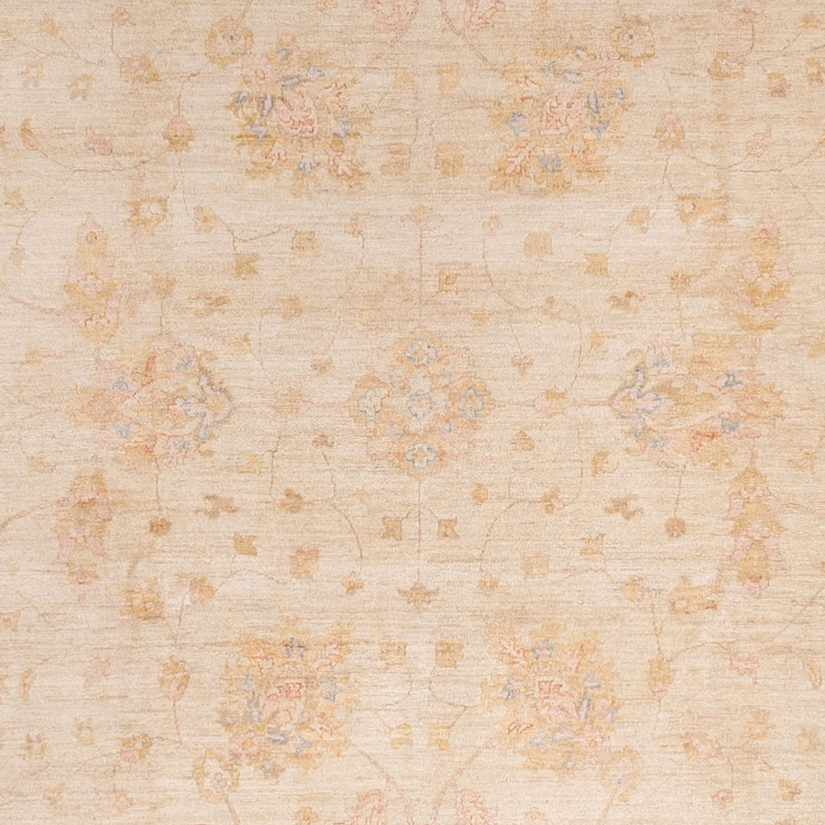 Ziegler Rug - 494 x 301 cm - beige