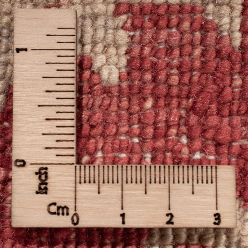 Ziegler Rug - 494 x 301 cm - beige