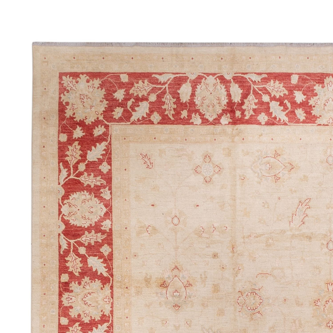 Ziegler Rug 487x353cm - Oriental Rug