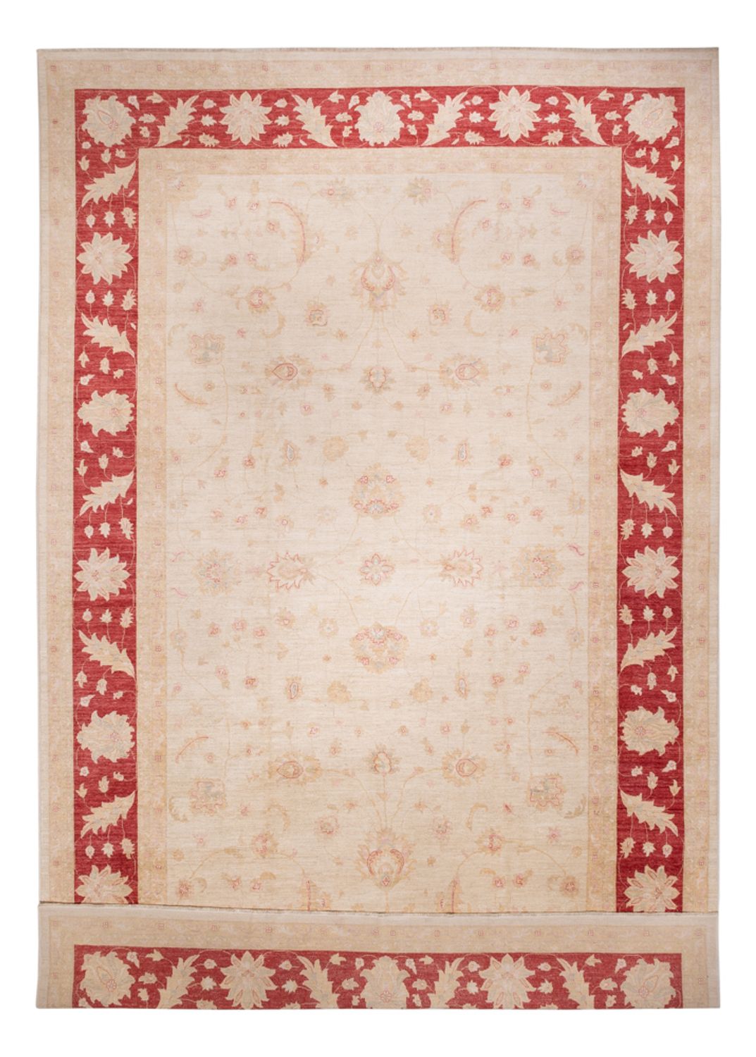 Ziegler Rug - 538 x 350 cm - beige