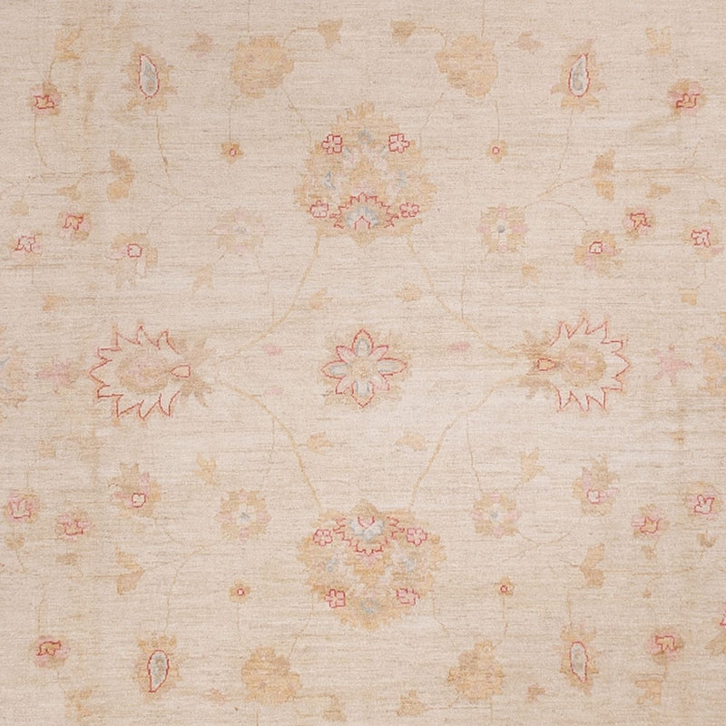 Ziegler Rug - 538 x 350 cm - beige