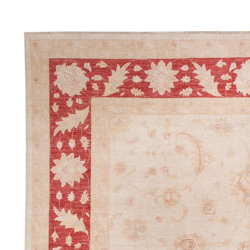 Ziegler Rug - 538 x 350 cm - beige