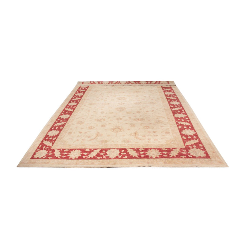 Ziegler Rug - 538 x 350 cm - beige