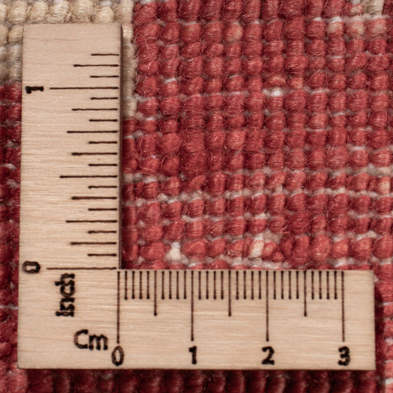 Ziegler Rug - 538 x 350 cm - beige