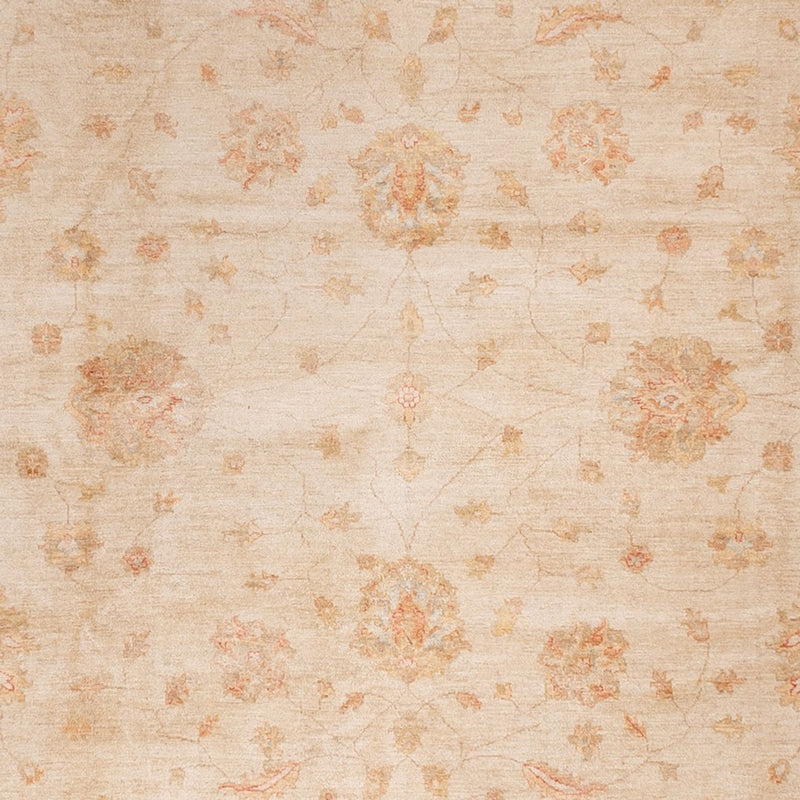 Ziegler Rug - 498 x 405 cm - beige