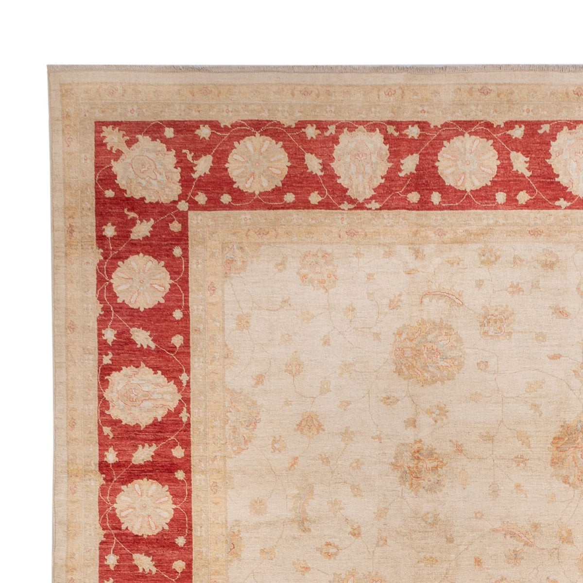 Ziegler Rug - 498 x 405 cm - beige