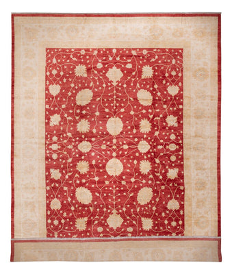 Ziegler Rug - 521 x 400 cm - beige