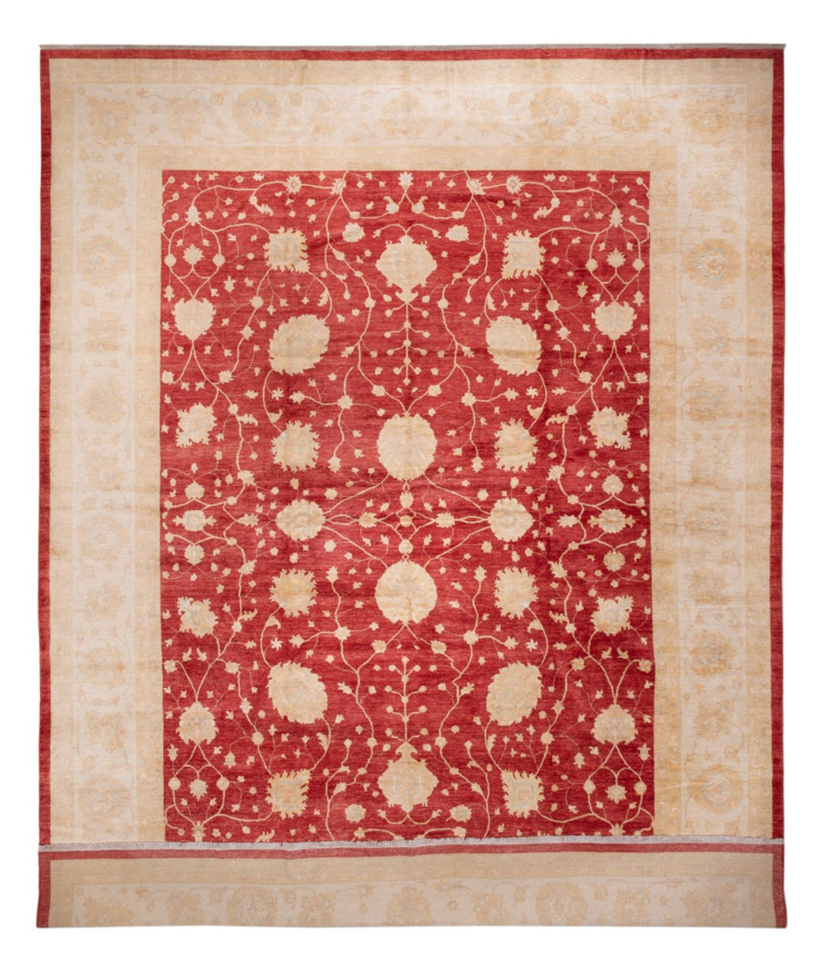 Ziegler Rug - 521 x 400 cm - beige