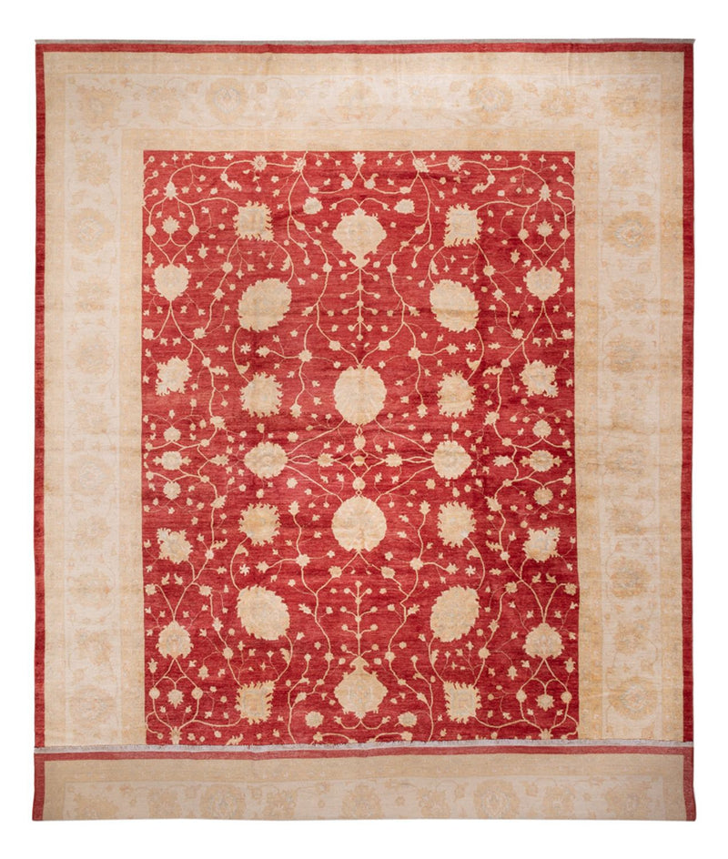 Ziegler Rug - 521 x 400 cm - beige