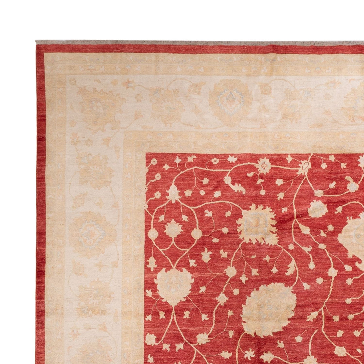 Ziegler Rug - 521 x 400 cm - beige