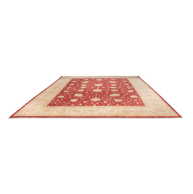 Ziegler Rug - 521 x 400 cm - beige