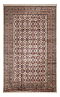Afghan Rug - 492 x 303 cm - dark beige