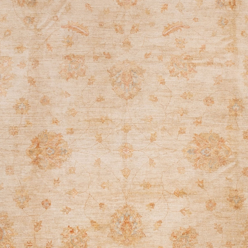 Ziegler Rug - 541 x 348 cm - beige