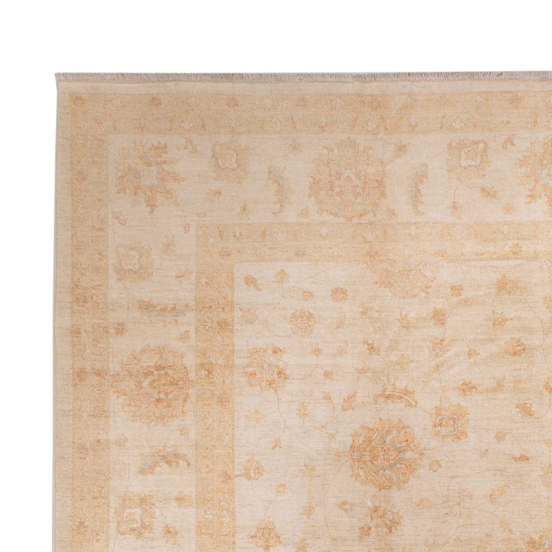 Ziegler Rug - 541 x 348 cm - beige