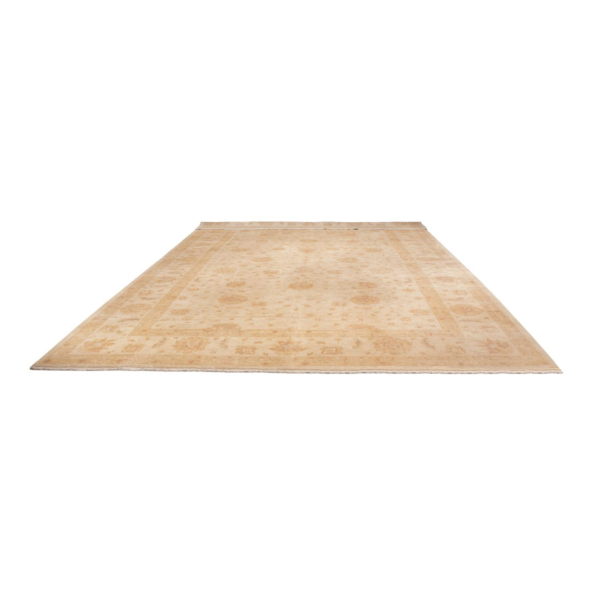 Ziegler Rug - 541 x 348 cm - beige