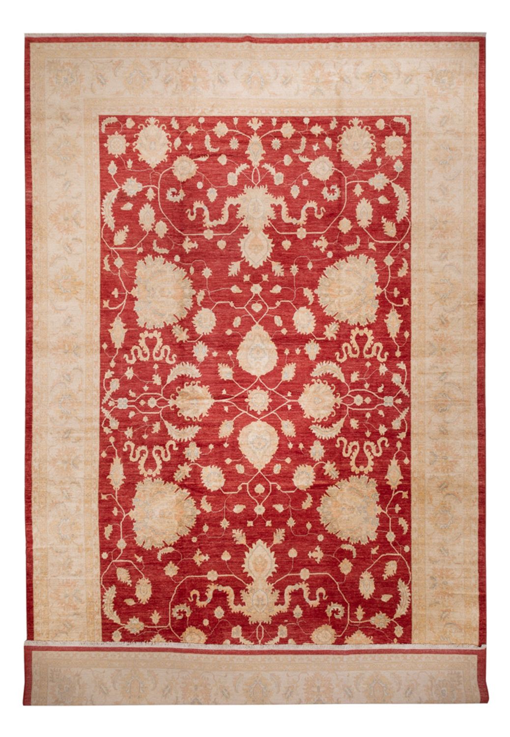 Ziegler Rug - 540 x 352 cm - red
