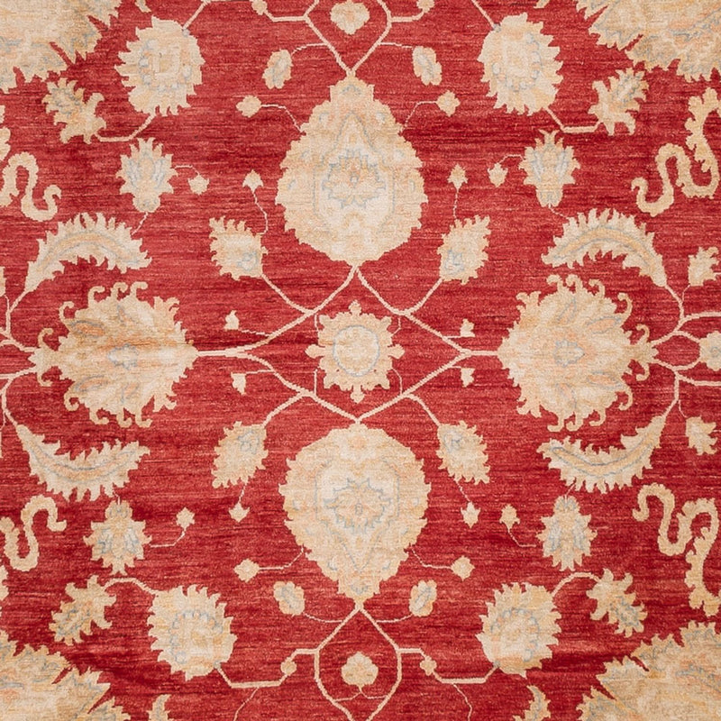 Ziegler Rug - 540 x 352 cm - red