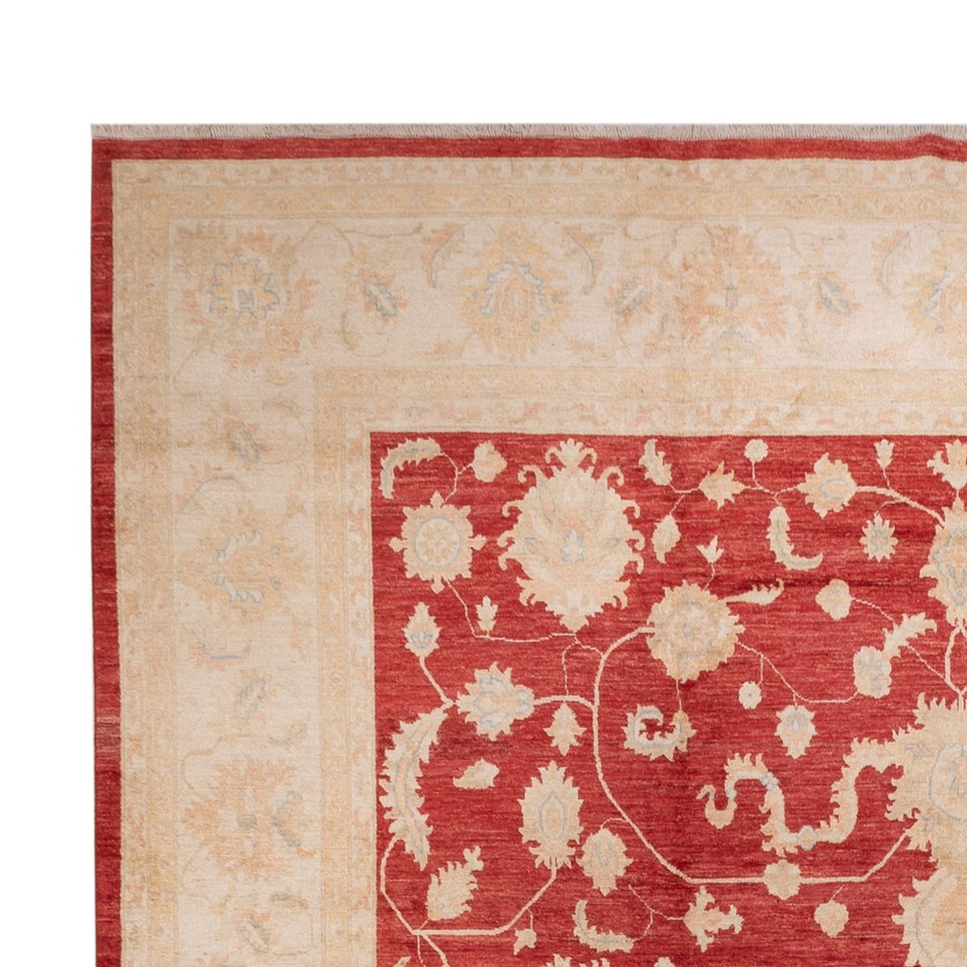 Ziegler Rug 540x352cm - Oriental Rug
