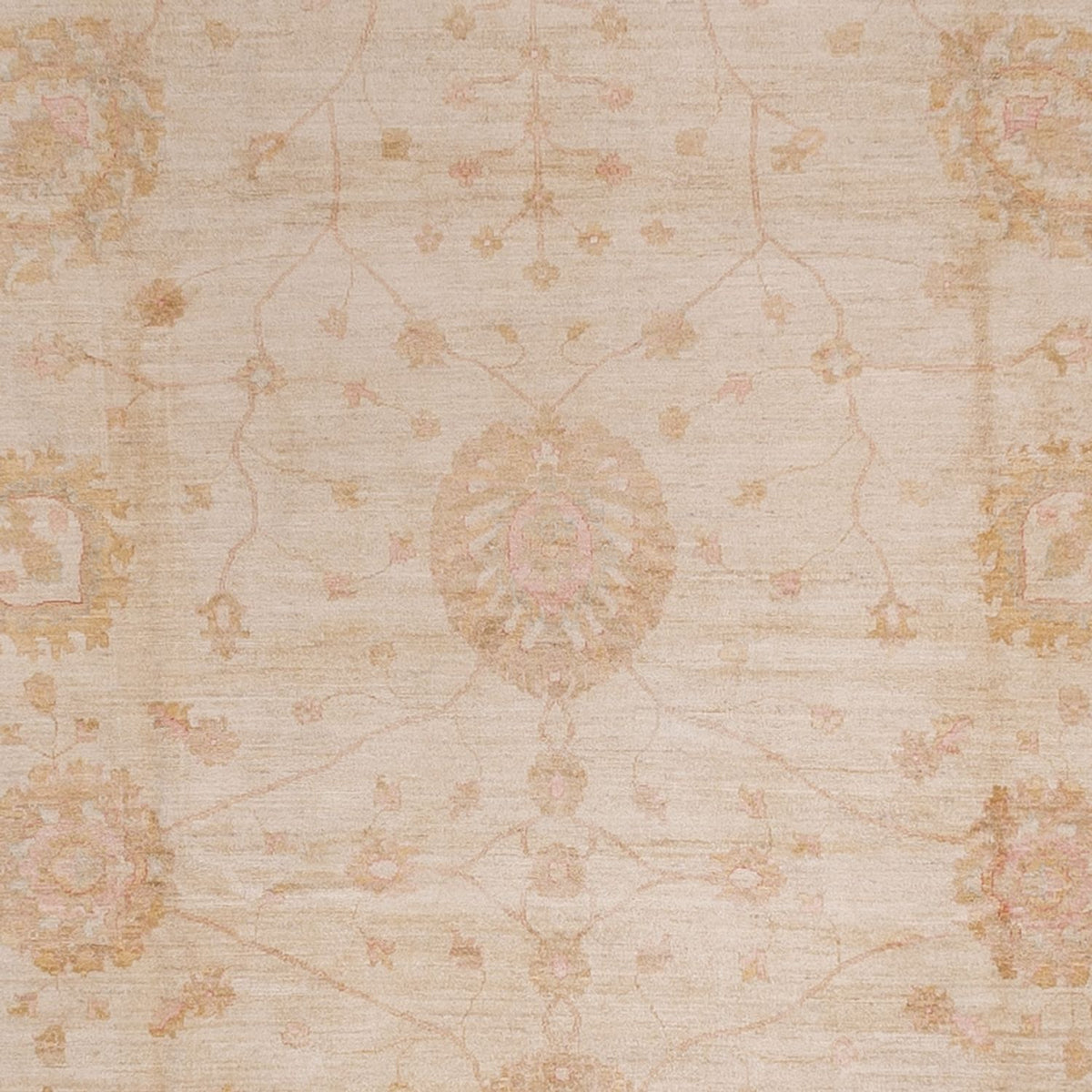 Ziegler Rug - 543 x 350 cm - beige