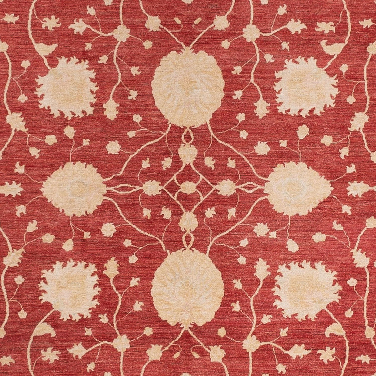 Ziegler Rug - 484 x 304 cm - red