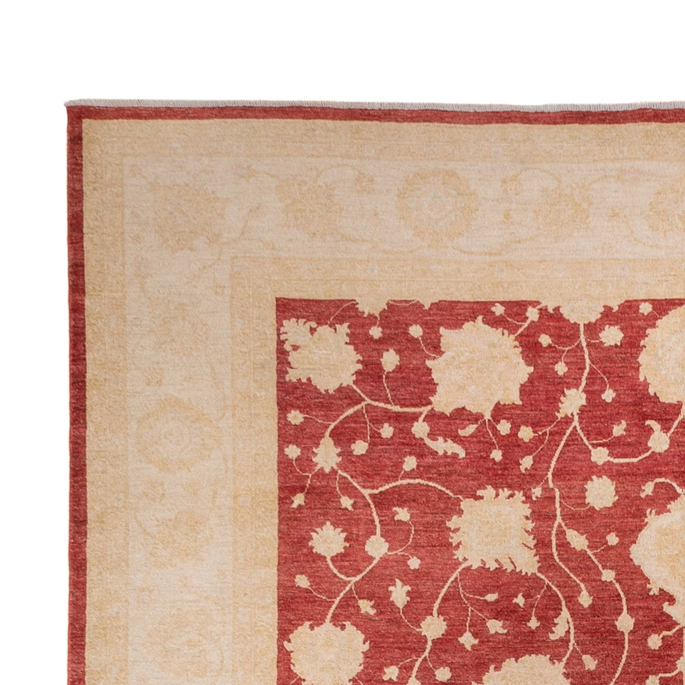 Ziegler Rug 484x304cm - Oriental Rug