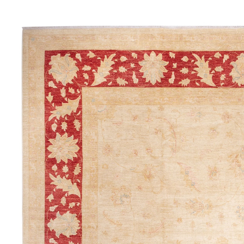 Ziegler Rug - 488 x 398 cm - beige