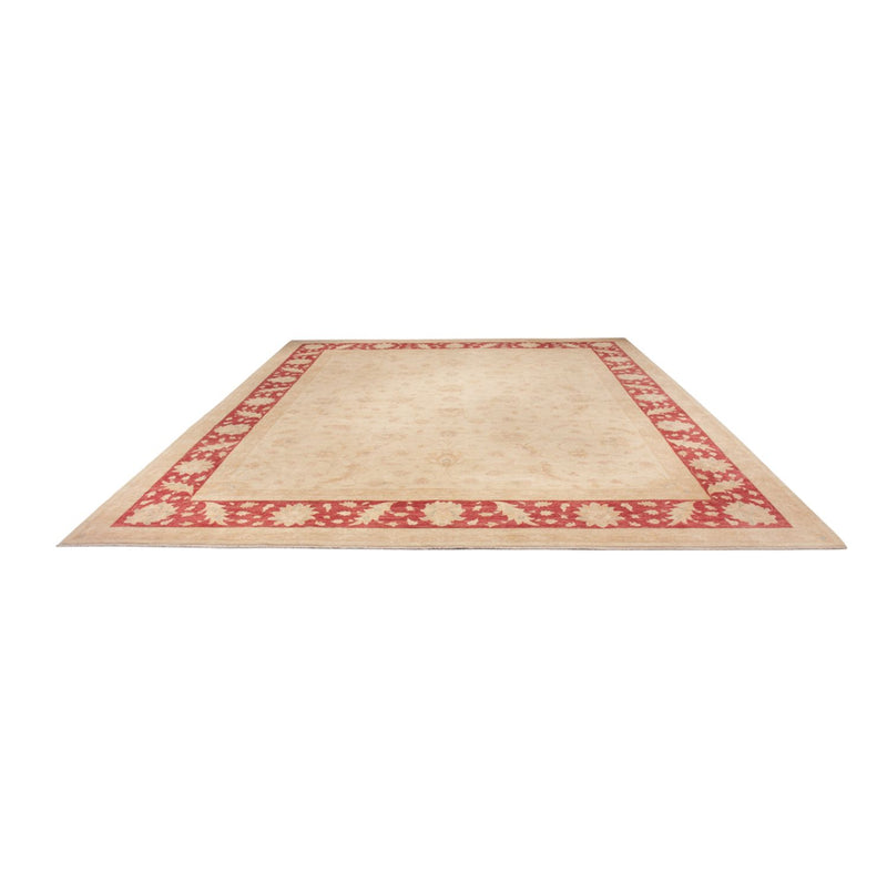 Ziegler Rug - 488 x 398 cm - beige