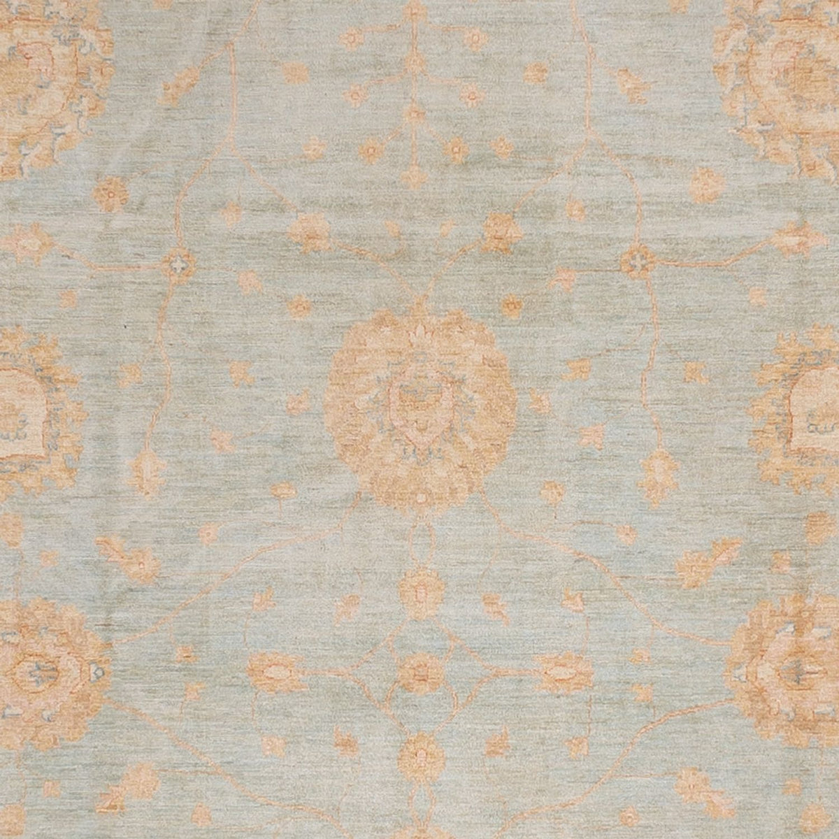 Ziegler Rug - 543 x 354 cm - light blue