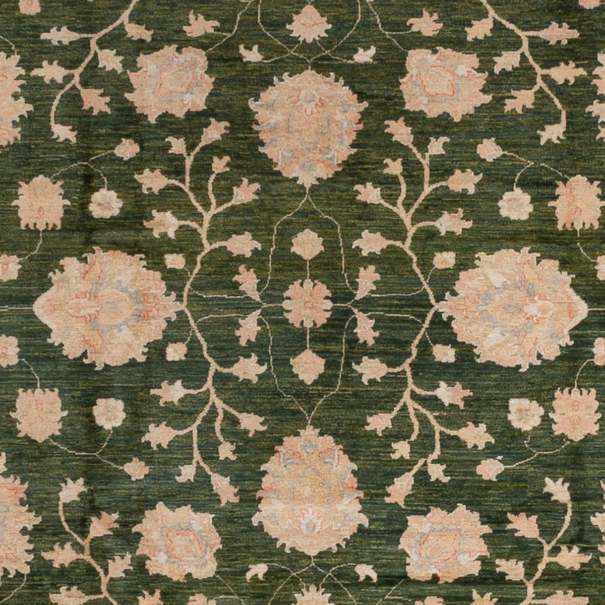 Ziegler Rug - 440 x 308 cm - green