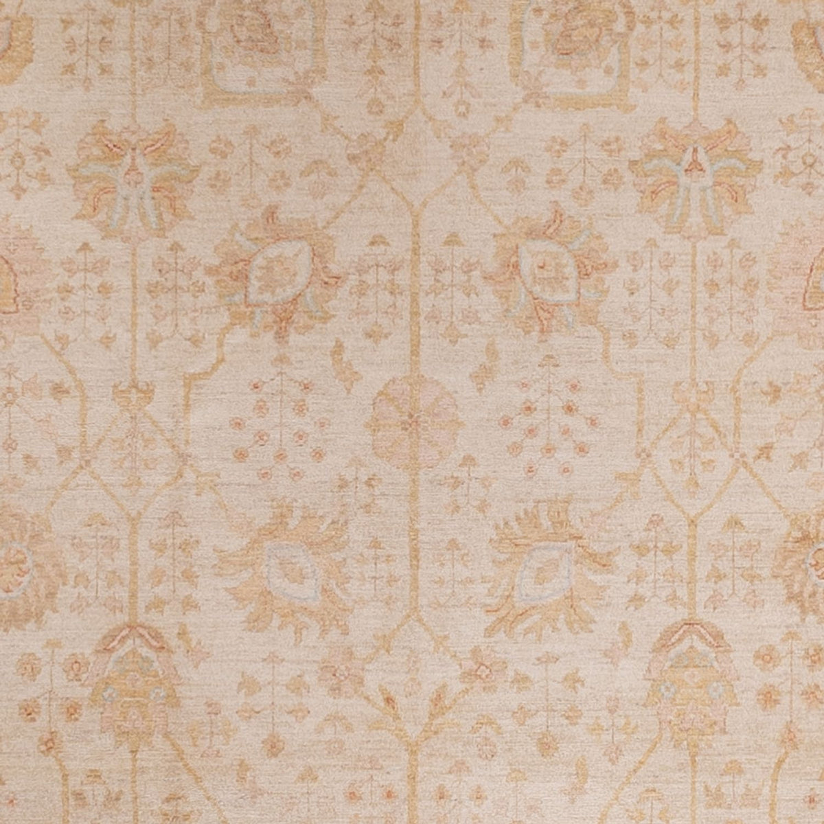 Ziegler Rug - 437 x 301 cm - beige