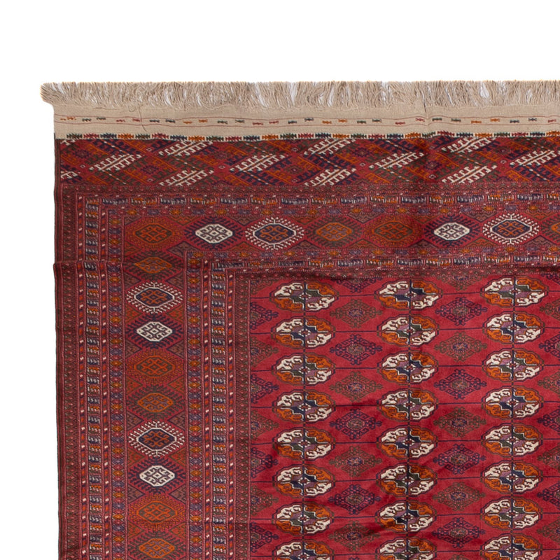 Afghan Rug - Bukhara - 505 x 308 cm - red