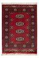 Pakistani Rug 85x64cm - Oriental Rug