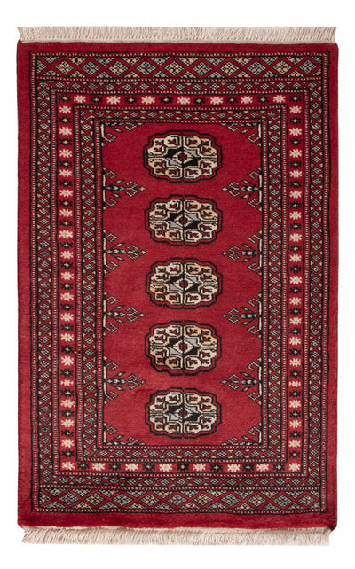 Pakistani Rug 61x95cm - Oriental Rug