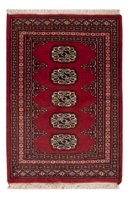 Pakistani Rug - 89 x 61 cm - red