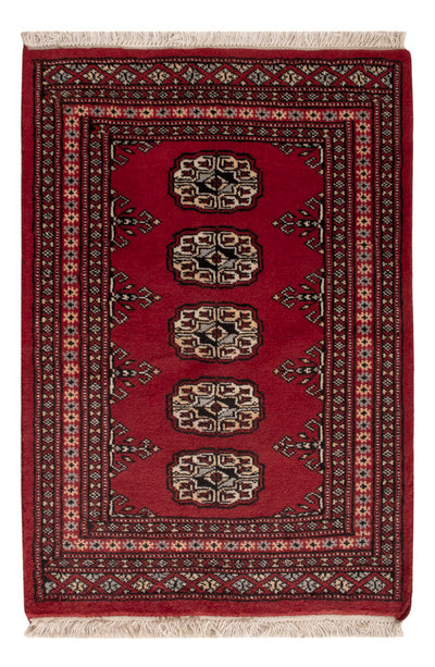 Pakistani Rug 61x89cm - Oriental Rug