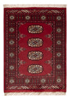 Pakistani Rug 63x86cm - Oriental Rug - Rectangle / Red / 63 x 86 cm Rectangle